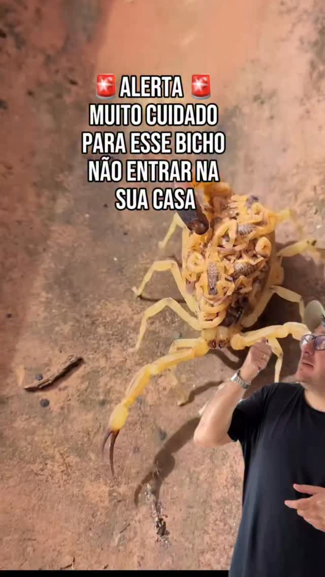 Capa do vídeo: Três dicas para evitar visitantes indesejados em casa